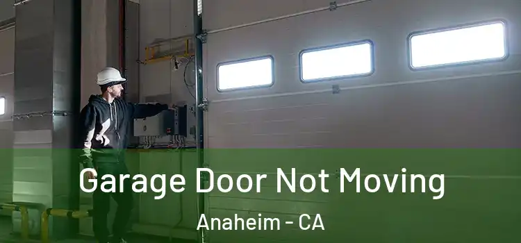  Garage Door Not Moving Anaheim - CA