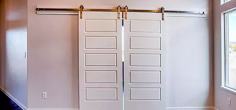 Glass Barn Door with Installation Hardware Kit Anaheim