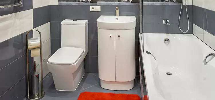Hansgrohe Shaving Mirror Anaheim